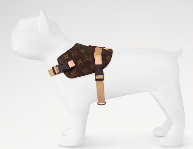 LOUIS VUITTON Harness胸帶