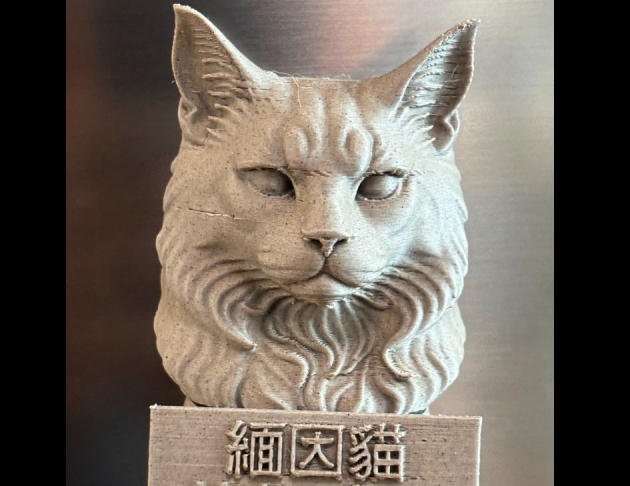 高質感緬因貓胸像磁鐵