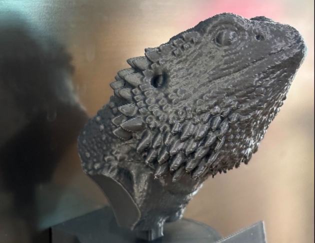 高質感鬃獅蜥胸像磁鐵